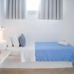 New Paradise - Adults Only 호텔 2*