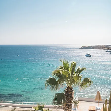 New Paradise - Adults Only 2*