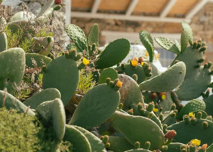 Szálloda New Paradise - Adults Only Paradicsom part